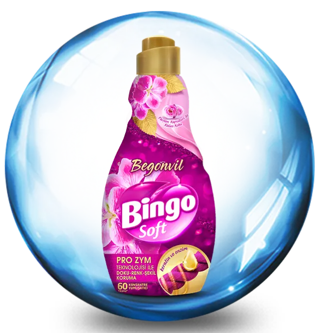 Bingo Begonvil